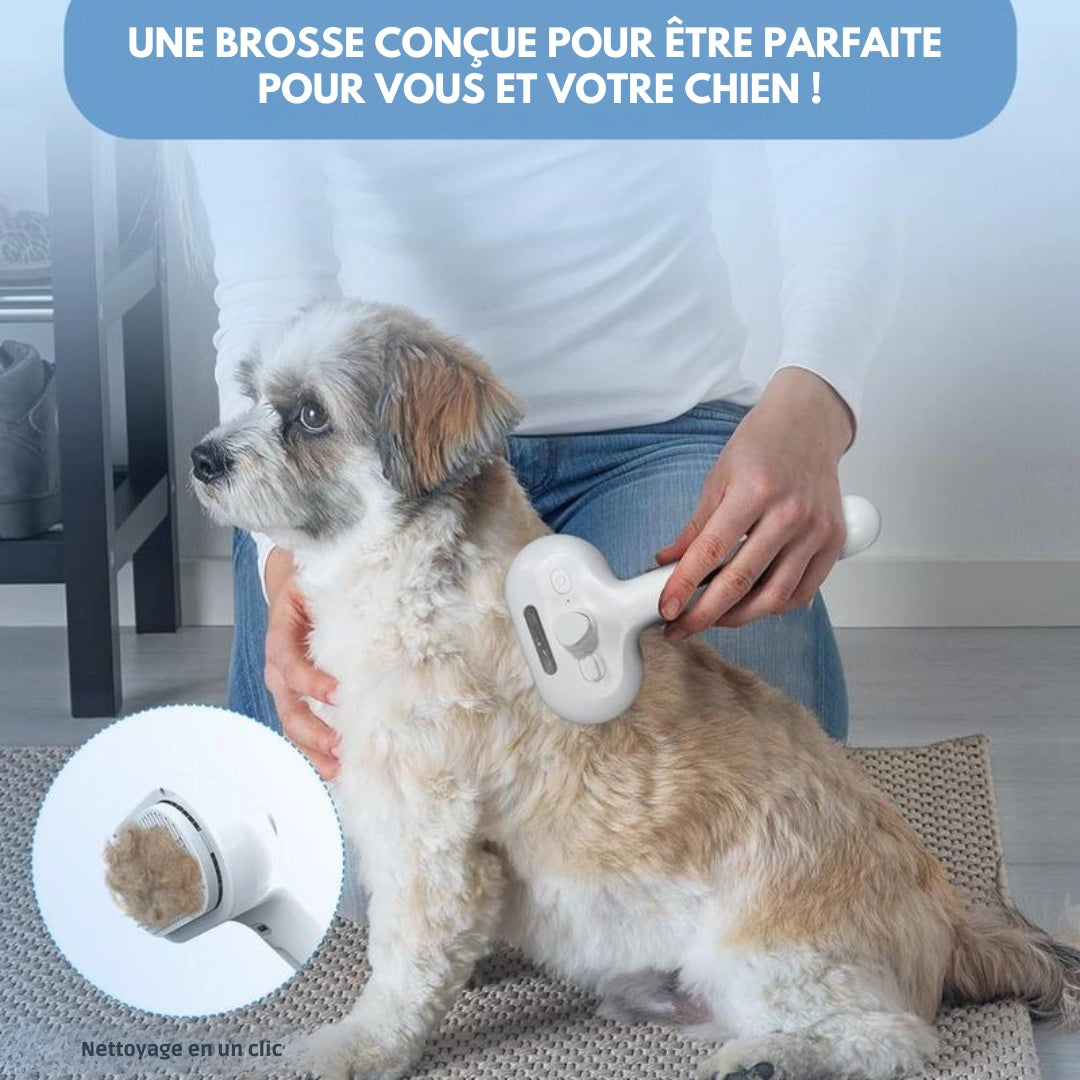 Rivera - Brosse de toilettage